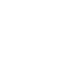 A2